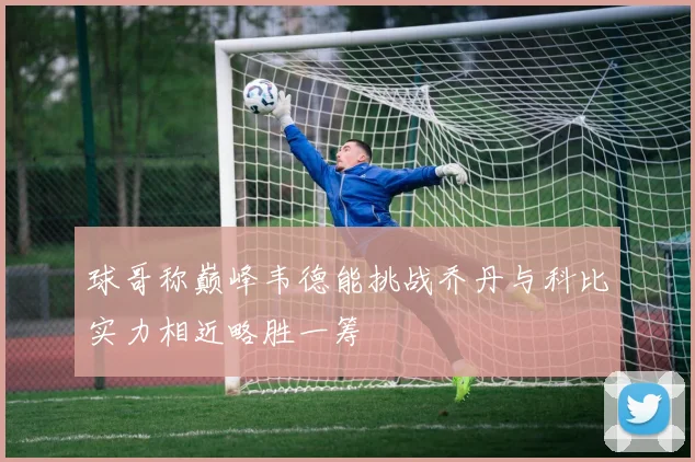 球哥称巅峰韦德能挑战乔丹与科比实力相近略胜一筹